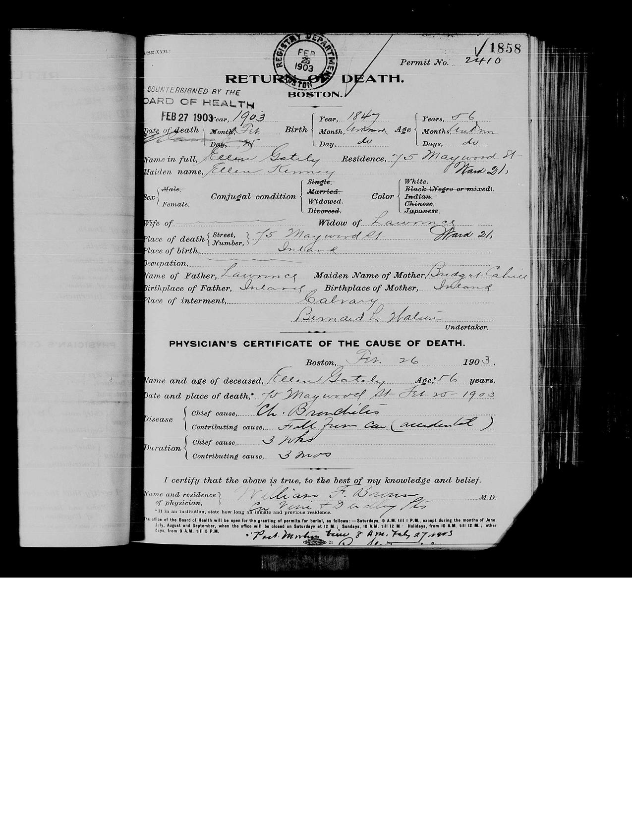 First page preview of death-record-for-ellen-gately-1903-original-with-citation.pdf