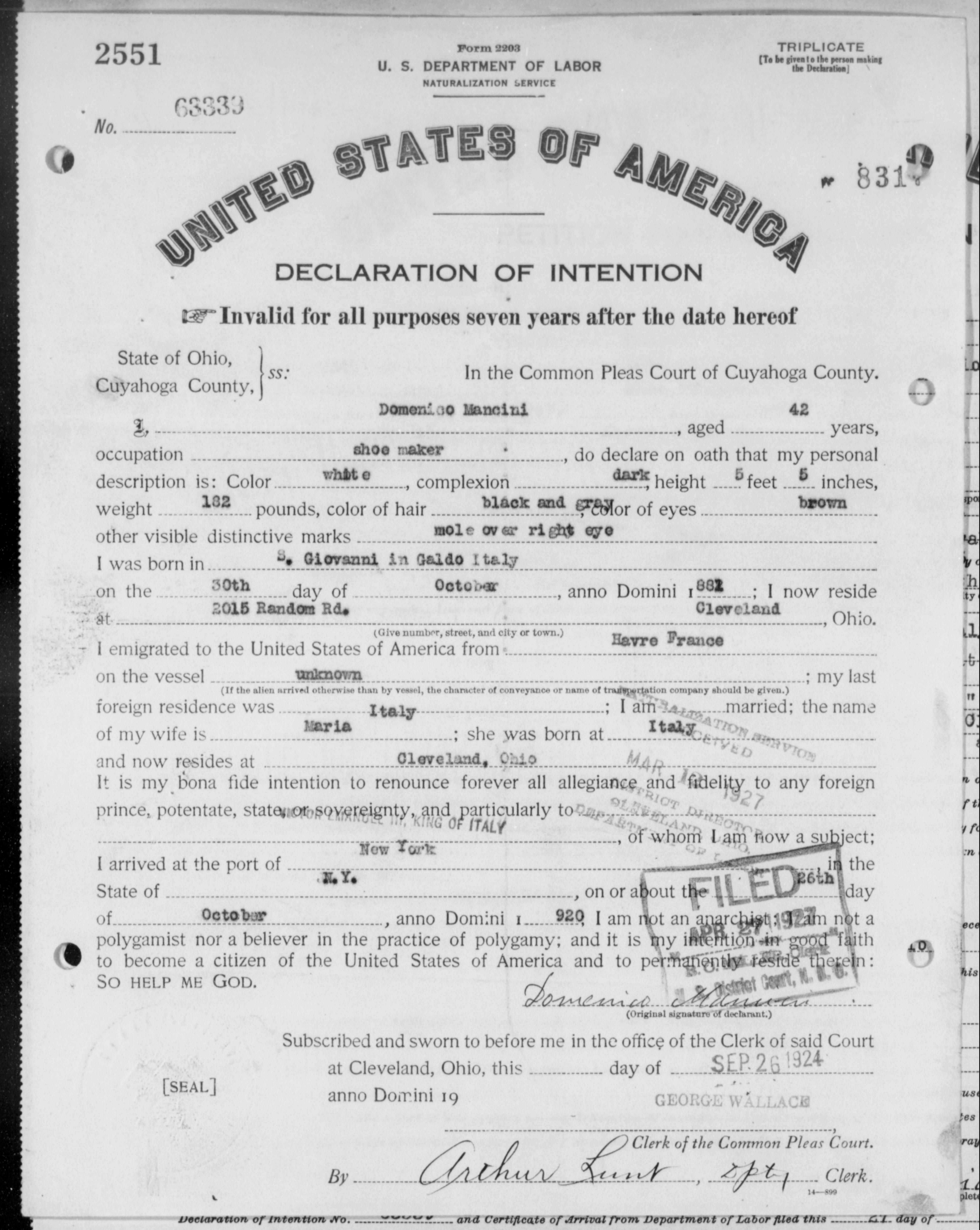 First page preview of nara-naturalization-file-for-domenico-mancini-1924-1927.pdf
